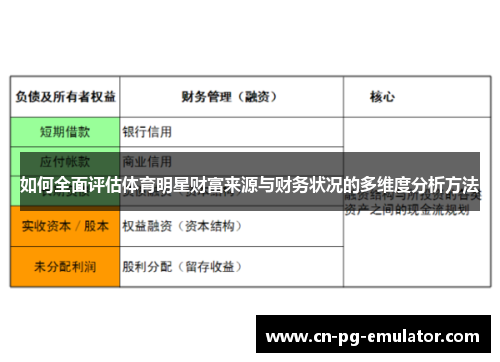 如何全面评估体育明星财富来源与财务状况的多维度分析方法 如何全面评估体育明星财富来源与财务状况的多维度分析方法