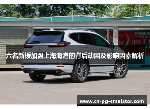 六名新援加盟上海海港的背后动因及影响因素解析 六名新援加盟上海海港的背后动因及影响因素解析