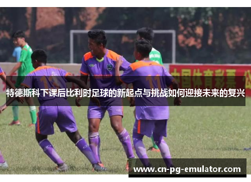特德斯科下课后比利时足球的新起点与挑战如何迎接未来的复兴 特德斯科下课后比利时足球的新起点与挑战如何迎接未来的复兴