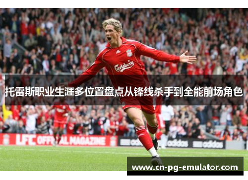 托雷斯职业生涯多位置盘点从锋线杀手到全能前场角色 托雷斯职业生涯多位置盘点从锋线杀手到全能前场角色