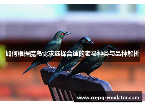 如何根据魔鸟需求选择合适的老马种类与品种解析