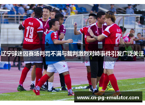 辽宁球迷因赛场判罚不满与裁判激烈对峙事件引发广泛关注 辽宁球迷因赛场判罚不满与裁判激烈对峙事件引发广泛关注
