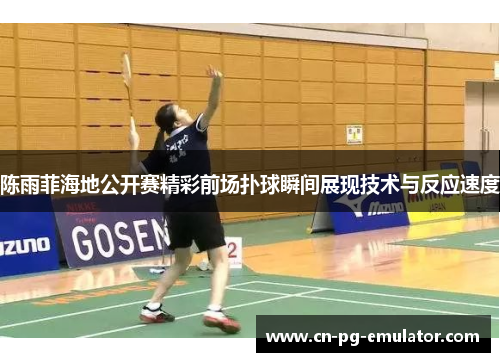 陈雨菲海地公开赛精彩前场扑球瞬间展现技术与反应速度