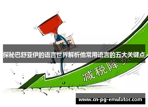 探秘巴舒亚伊的语言世界解析他常用语言的五大关键点