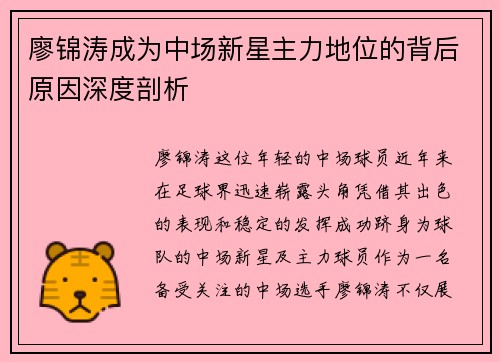 廖锦涛成为中场新星主力地位的背后原因深度剖析