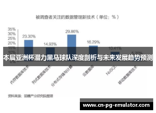 本届亚洲杯潜力黑马球队深度剖析与未来发展趋势预测