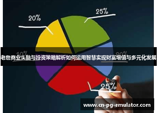 老詹商业头脑与投资策略解析如何运用智慧实现财富增值与多元化发展